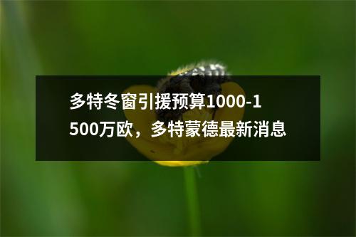 多特冬窗引援预算1000-1500万欧，多特蒙德最新消息