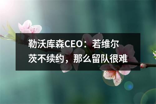 勒沃库森CEO：若维尔茨不续约，那么留队很难