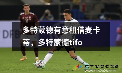 多特蒙德有意租借麦卡蒂，多特蒙德tifo