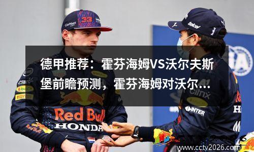 德甲推荐：霍芬海姆VS沃尔夫斯堡前瞻预测，霍芬海姆对沃尔夫斯堡预测