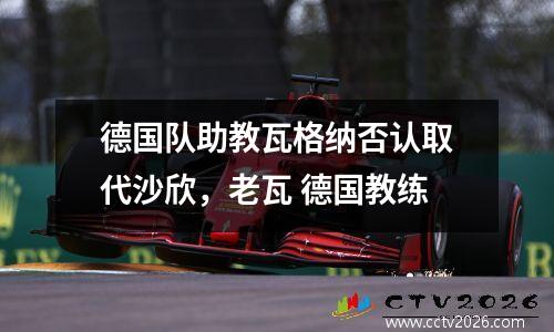 德国队助教瓦格纳否认取代沙欣，老瓦 德国教练