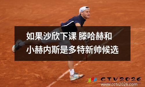 如果沙欣下课 滕哈赫和小赫内斯是多特新帅候选