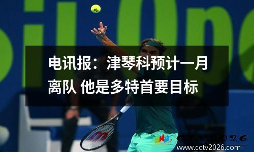 电讯报：津琴科预计一月离队 他是多特首要目标
