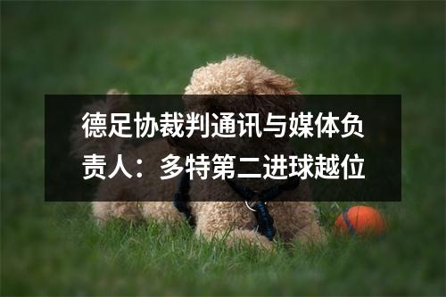 德足协裁判通讯与媒体负责人：多特第二进球越位