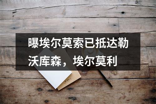 曝埃尔莫索已抵达勒沃库森，埃尔莫利