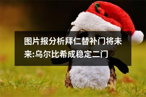 图片报分析拜仁替补门将未来:乌尔比希成稳定二门