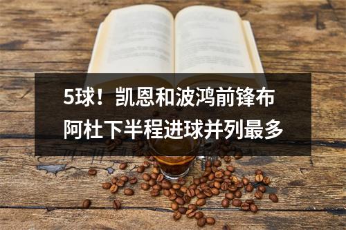 5球！凯恩和波鸿前锋布阿杜下半程进球并列最多