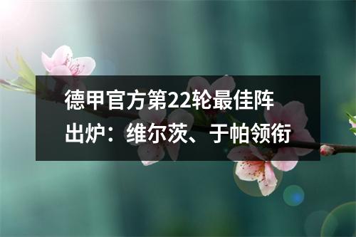德甲官方第22轮最佳阵出炉：维尔茨、于帕领衔