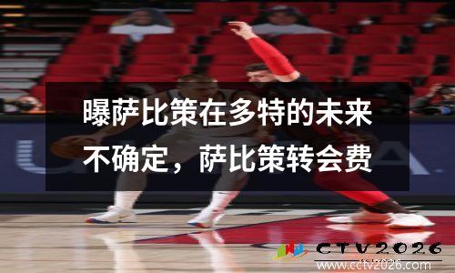 曝萨比策在多特的未来不确定，萨比策转会费