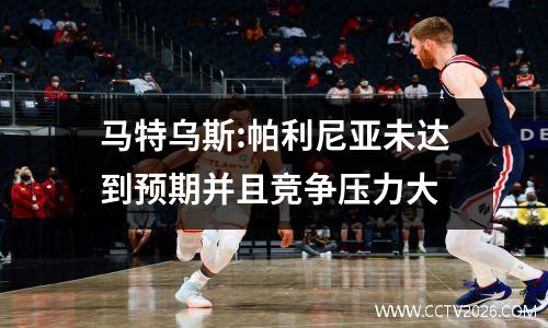 马特乌斯:帕利尼亚未达到预期并且竞争压力大