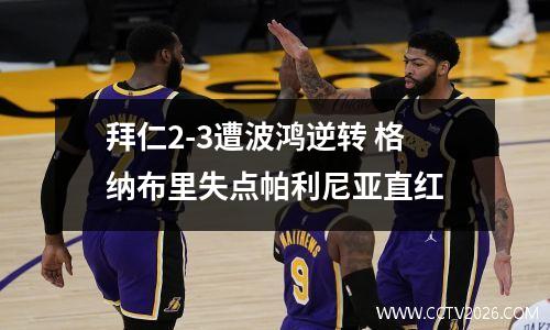 拜仁2-3遭波鸿逆转 格纳布里失点帕利尼亚直红