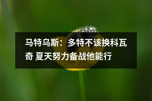 马特乌斯：多特不该换科瓦奇 夏天努力备战他能行