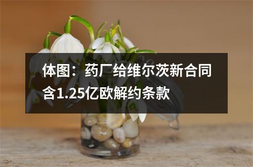 体图：药厂给维尔茨新合同含1.25亿欧解约条款