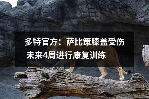 多特官方：萨比策膝盖受伤 未来4周进行康复训练