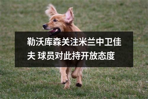 勒沃库森关注米兰中卫佳夫 球员对此持开放态度