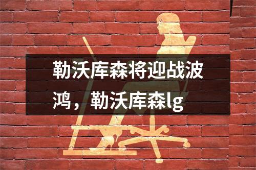 勒沃库森将迎战波鸿，勒沃库森lg