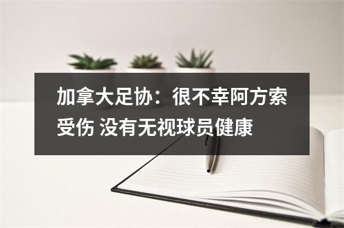 加拿大足协：很不幸阿方索受伤 没有无视球员健康