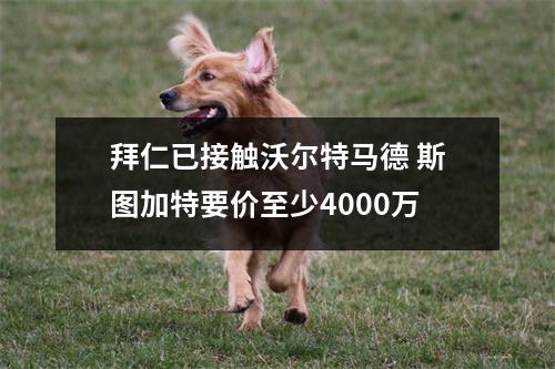 拜仁已接触沃尔特马德 斯图加特要价至少4000万