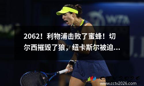 2062！利物浦击败了蜜蜂！切尔西摧毁了狼，纽卡斯尔被迫画画