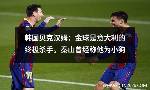 韩国贝克汉姆：金球是意大利的终极杀手。秦山曾经称他为小狗