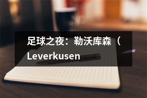 足球之夜：勒沃库森（Leverkusen