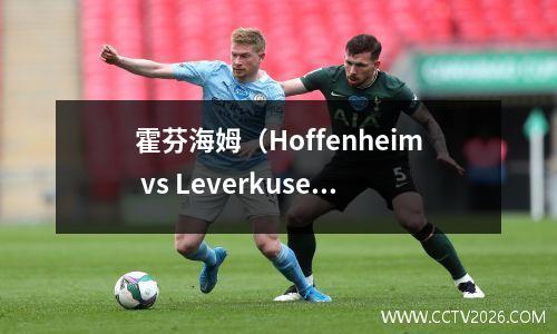 霍芬海姆（Hoffenheim vs Leverkusen）预测：13，14，今晚可能得分很多