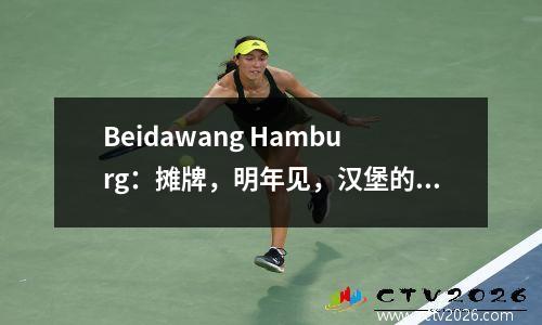 Beidawang Hamburg：摊牌，明年见，汉堡的德甲联赛返回启示录！