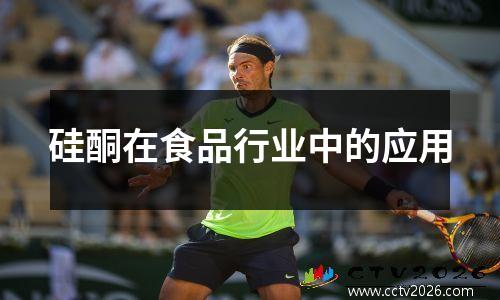 硅酮在食品行业中的应用
