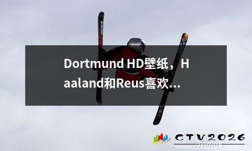 Dortmund HD壁纸，Haaland和Reus喜欢捡起它