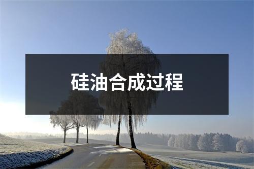 硅油合成过程