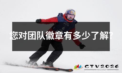 您对团队徽章有多少了解？