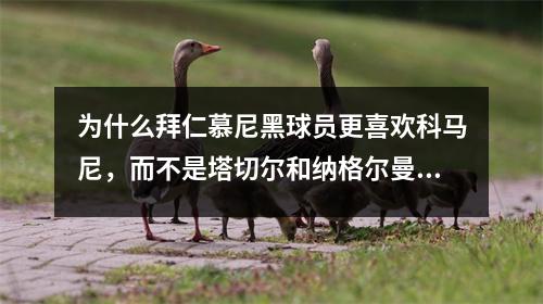 为什么拜仁慕尼黑球员更喜欢科马尼，而不是塔切尔和纳格尔曼？