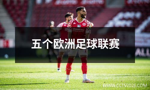 五个欧洲足球联赛