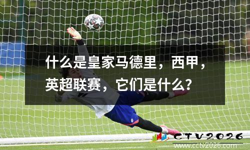 什么是皇家马德里，西甲，英超联赛，它们是什么？