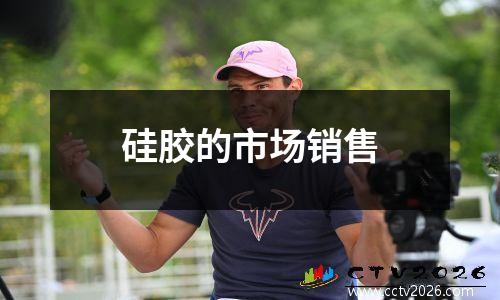 硅胶的市场销售