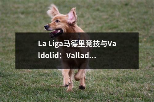La Liga马德里竞技与Valdolid：Valladolid处于降级的边缘。它可以阻止马德里竞技吗？