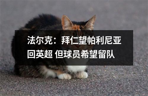 法尔克：拜仁望帕利尼亚回英超 但球员希望留队