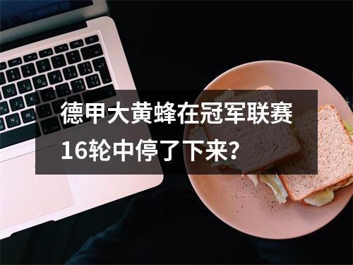 德甲大黄蜂在冠军联赛16轮中停了下来？