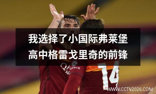 我选择了小国际弗莱堡高中格雷戈里奇的前锋