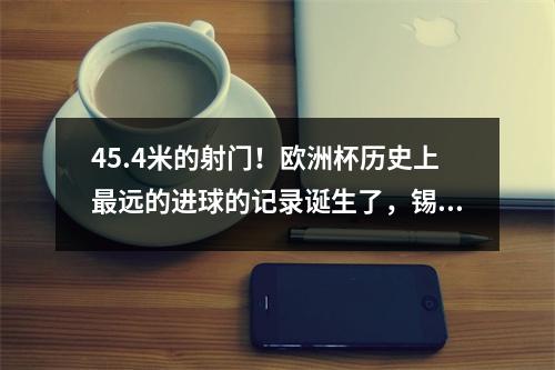 45.4米的射门！欧洲杯历史上最远的进球的记录诞生了，锡克（Sik