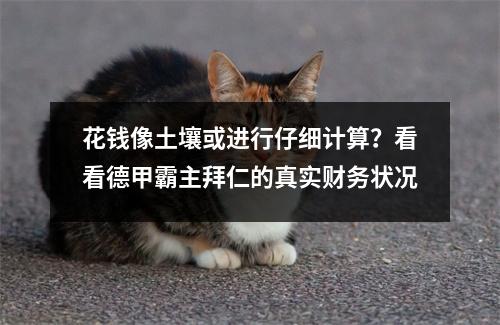 花钱像土壤或进行仔细计算？看看德甲霸主拜仁的真实财务状况