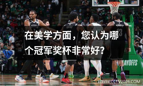 在美学方面，您认为哪个冠军奖杯非常好？