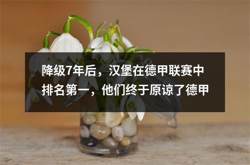 降级7年后，汉堡在德甲联赛中排名第一，他们终于原谅了德甲