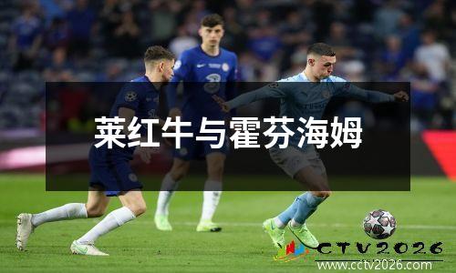 莱红牛与霍芬海姆