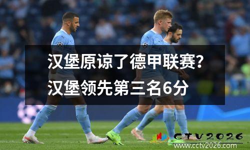 汉堡原谅了德甲联赛？汉堡领先第三名6分