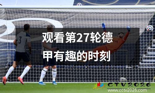 观看第27轮德甲有趣的时刻