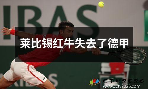 莱比锡红牛失去了德甲