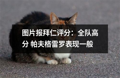 图片报拜仁评分：全队高分 帕夫格雷罗表现一般