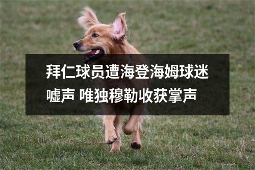 拜仁球员遭海登海姆球迷嘘声 唯独穆勒收获掌声