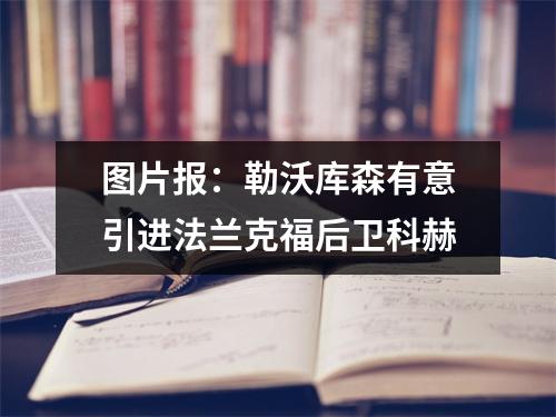 图片报：勒沃库森有意引进法兰克福后卫科赫